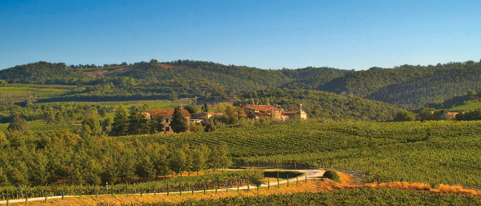 Azienda Agraria Fossacolle - Wine producer in brunello land